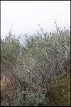 IMG_0448