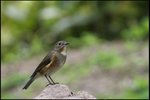 IMG_0566