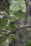 IMG_0671