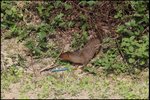 IMG_5310