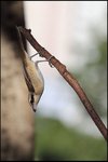 IMG_5473