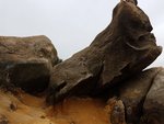 20170226_113151