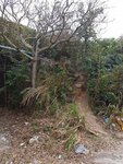 20170226_144729
