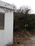 20170226_144737