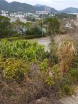 20170226_144908