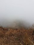 20170305_125043