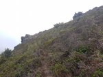 20170409_093815