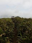 20170409_105810
