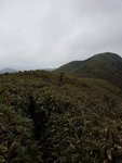 20170409_110053