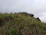 20170409_111015