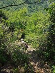 20170528_105831