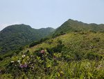 20170528_114134