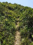 20170528_115803(0)