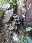 20170528_150653