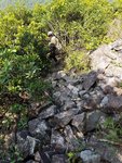 20170528_151756