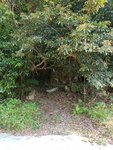 20170528_155421