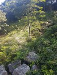 20171022_103526