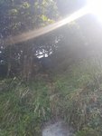 20171022_103650