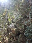20171022_105157