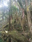 20171022_110644