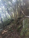 20171022_110842