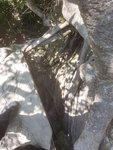 20180311_113546