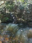 20180520_134901