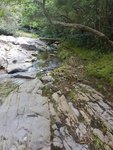 20180701_141749