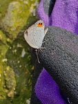 IMG-20180909-WA0006