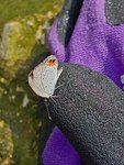 IMG-20180909-WA0007