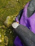 IMG-20180909-WA0010