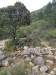 20181007_145444