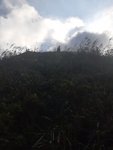 20181021_152957