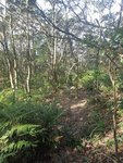 20181021_153544