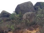 20190310_112522
