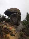 20190310_113004