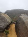 20190310_113518