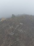 20190310_115005