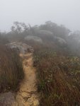20190310_120608