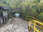 20190310_132937
