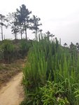 20190504_095420