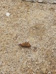 20190504_100744