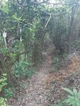 20190504_102903