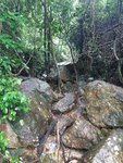 20190721_115002