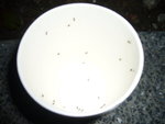 P1060629