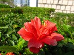 IMG_0300