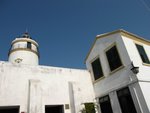 IMG_0309