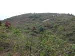 DSCN3398
