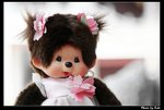 IMG_1627