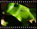 全開光圈 f/2.8